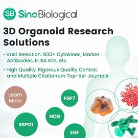 3D Organoid Research Solutions 