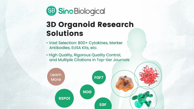 3D Organoid Research Solutions 