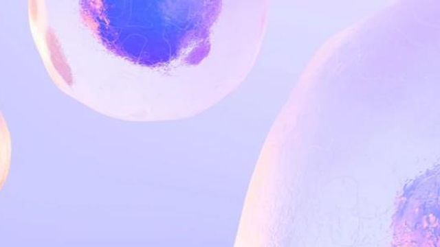 Abstract visualization of translucent cells with visible nuclei on a light purple background